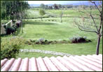 Nobile di Maremma - Veduta del prato dalla terrazza